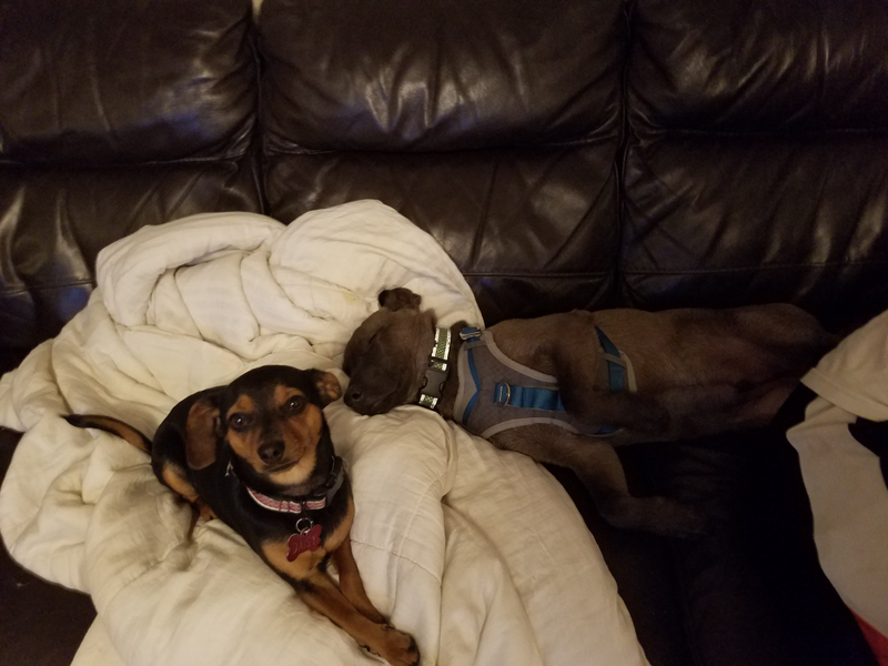 So much cuteness